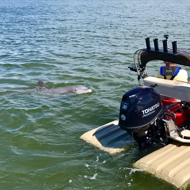Hilton Head Boat Tour catamaran with dolphin