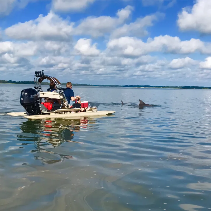Hilton Head Boat Tour catamaran with dolphins