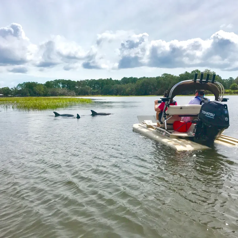 Hilton Head Boat Tour catamaran with dolphins