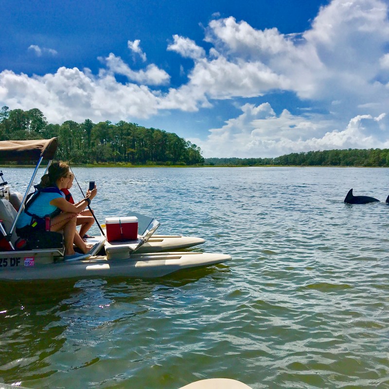Hilton Head Boat Tour catamaran with dolphins