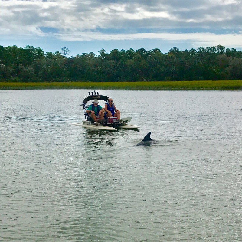 Hilton Head Boat Tour catamaran with dolphin