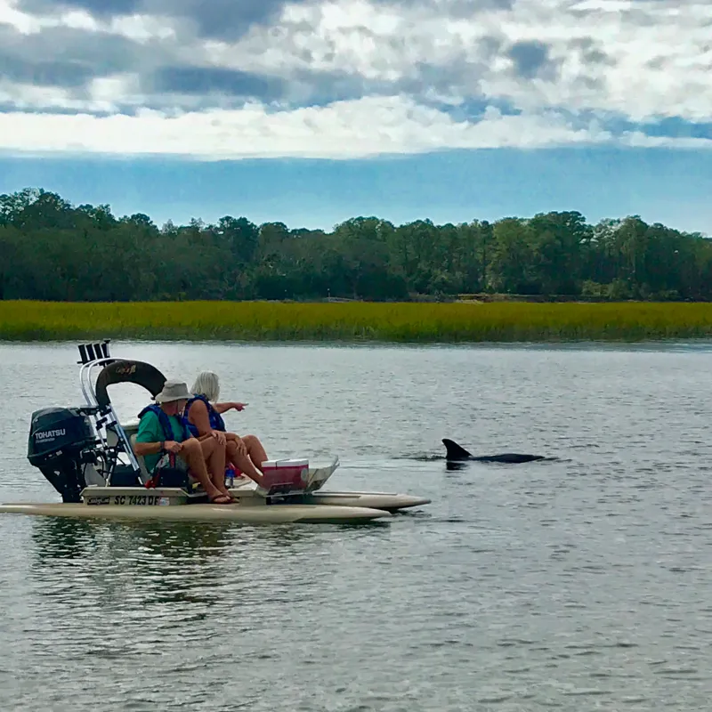 Hilton Head Boat Tour catamaran with dolphin