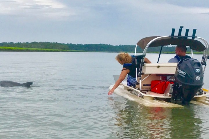 Hilton Head Boat Tour catamaran with dolphin