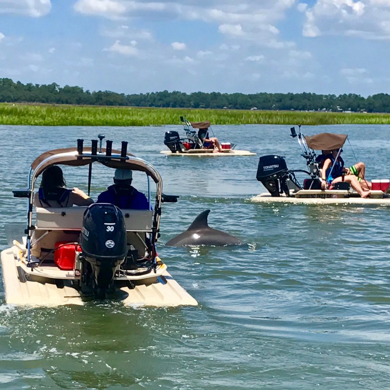 Hilton Head skiff Boat Tour near dolphin