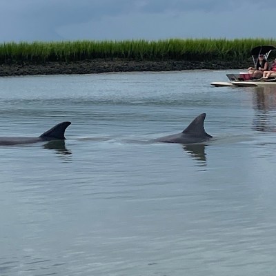 a group of people swimming in a body of water