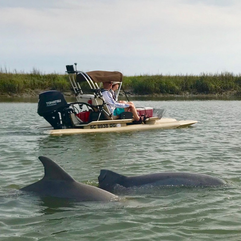 dolphin near me on tour with island skiff