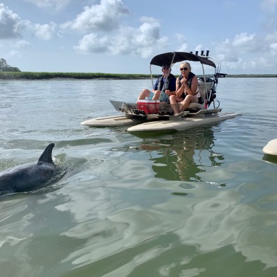 Island Skiff Adventure Tours | Hilton Head Dolphin Tours