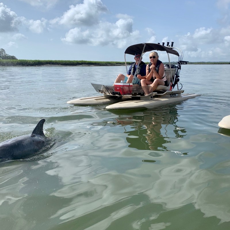 Dolphin in front of skiff