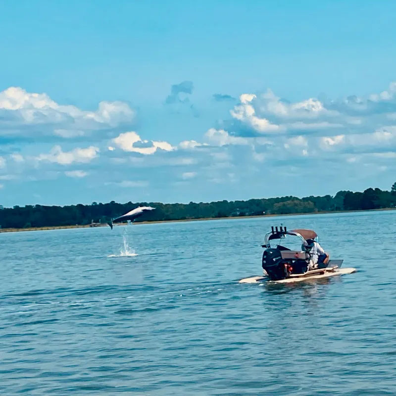 Island Skiff watching a jumping dolphin