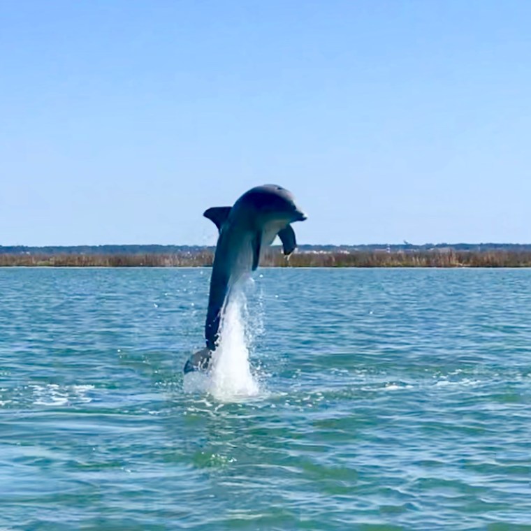 a person riding a surf board on a body of water